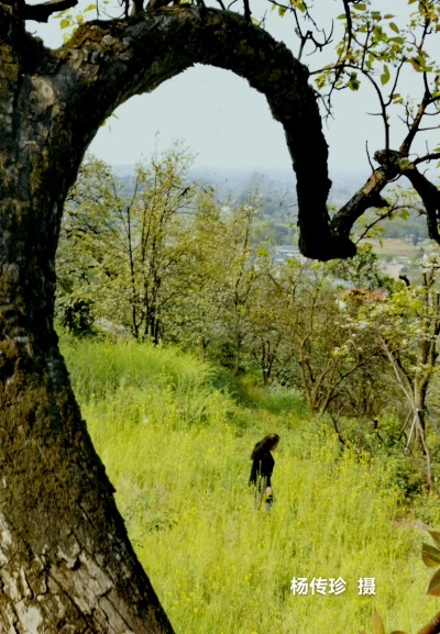 09.jpg