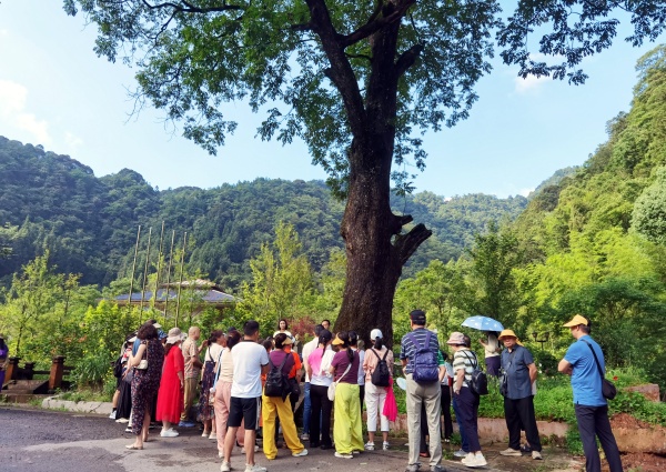 微信图片_2025-07-12_195131_495_副本.jpg