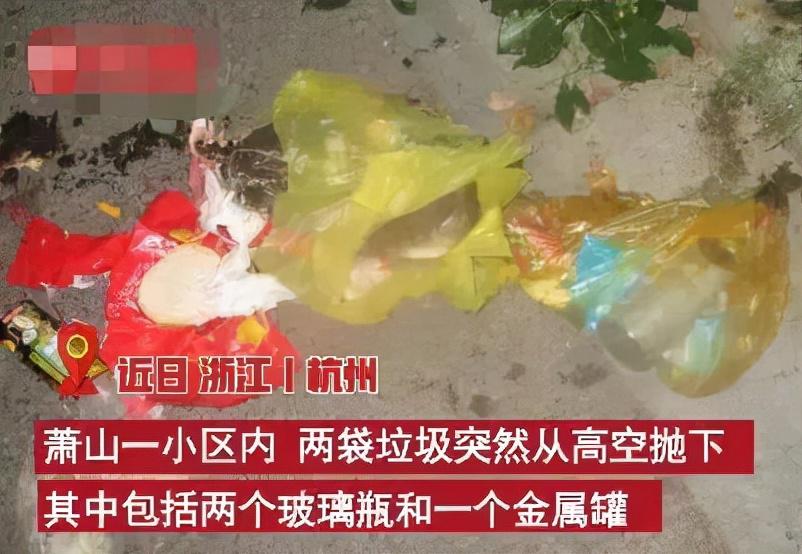 杭州一女子高空抛两袋垃圾被刑拘(图3)